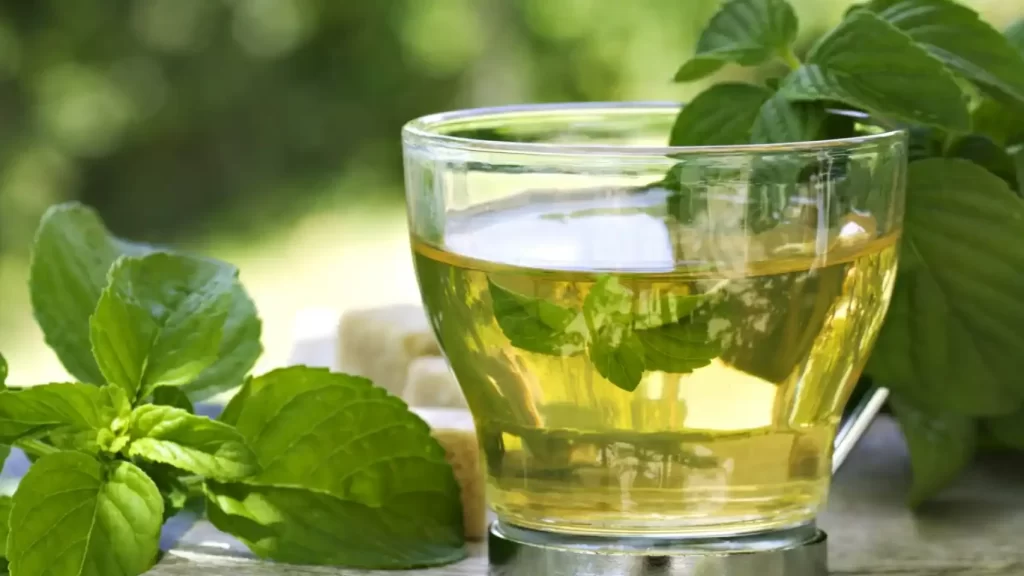 10 Alimentos esenciales para combatir la celulitis 10 Alimentos esenciales para combatir la celulitis: te verde